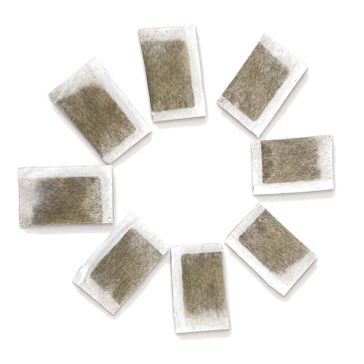 Catnip Growing Seeds for Cats